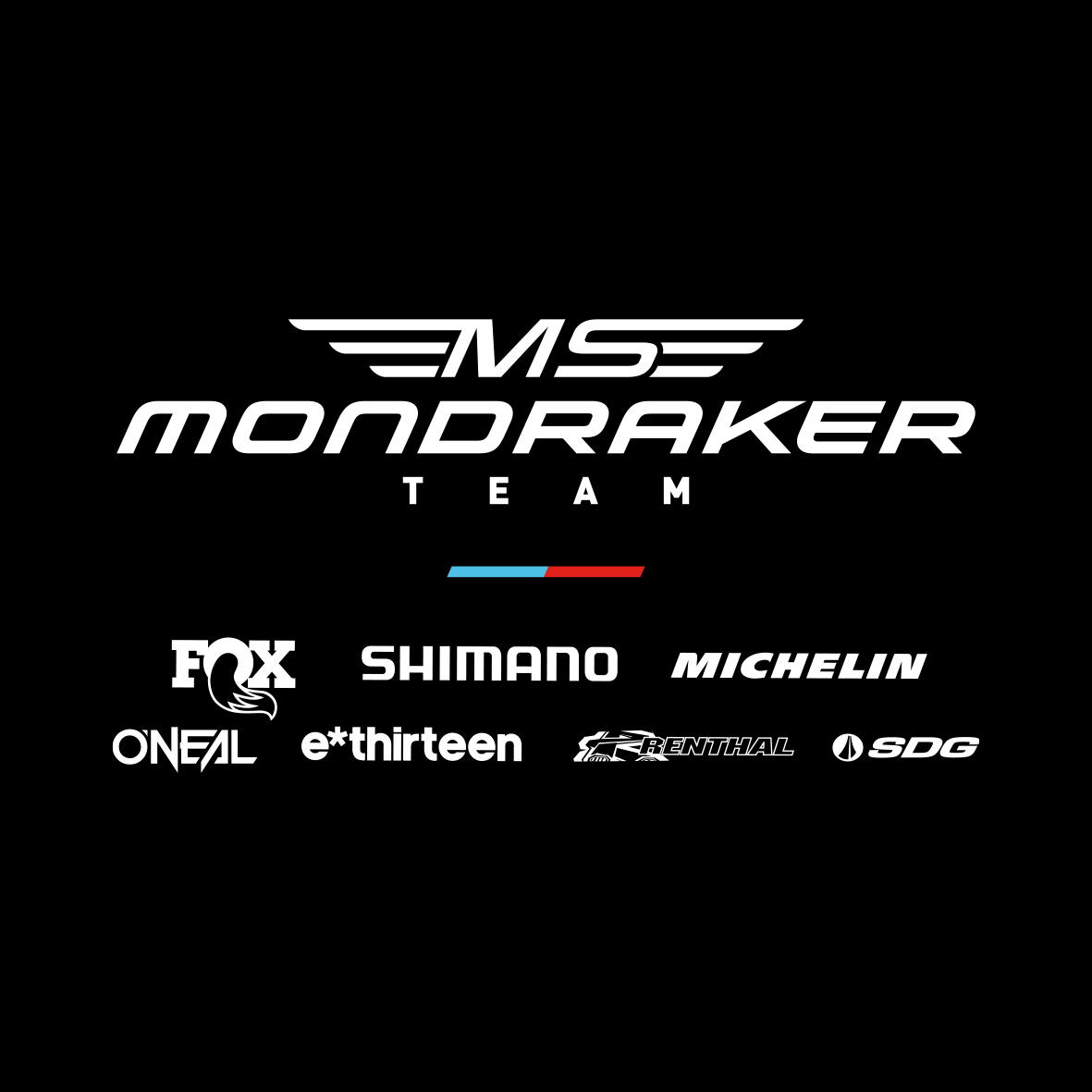 MS MONDRAKER TEAM
