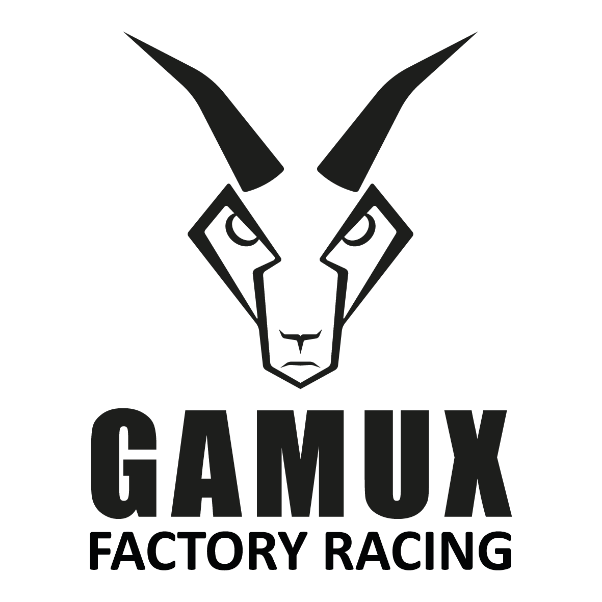 GAMUX FACTORY RACING 