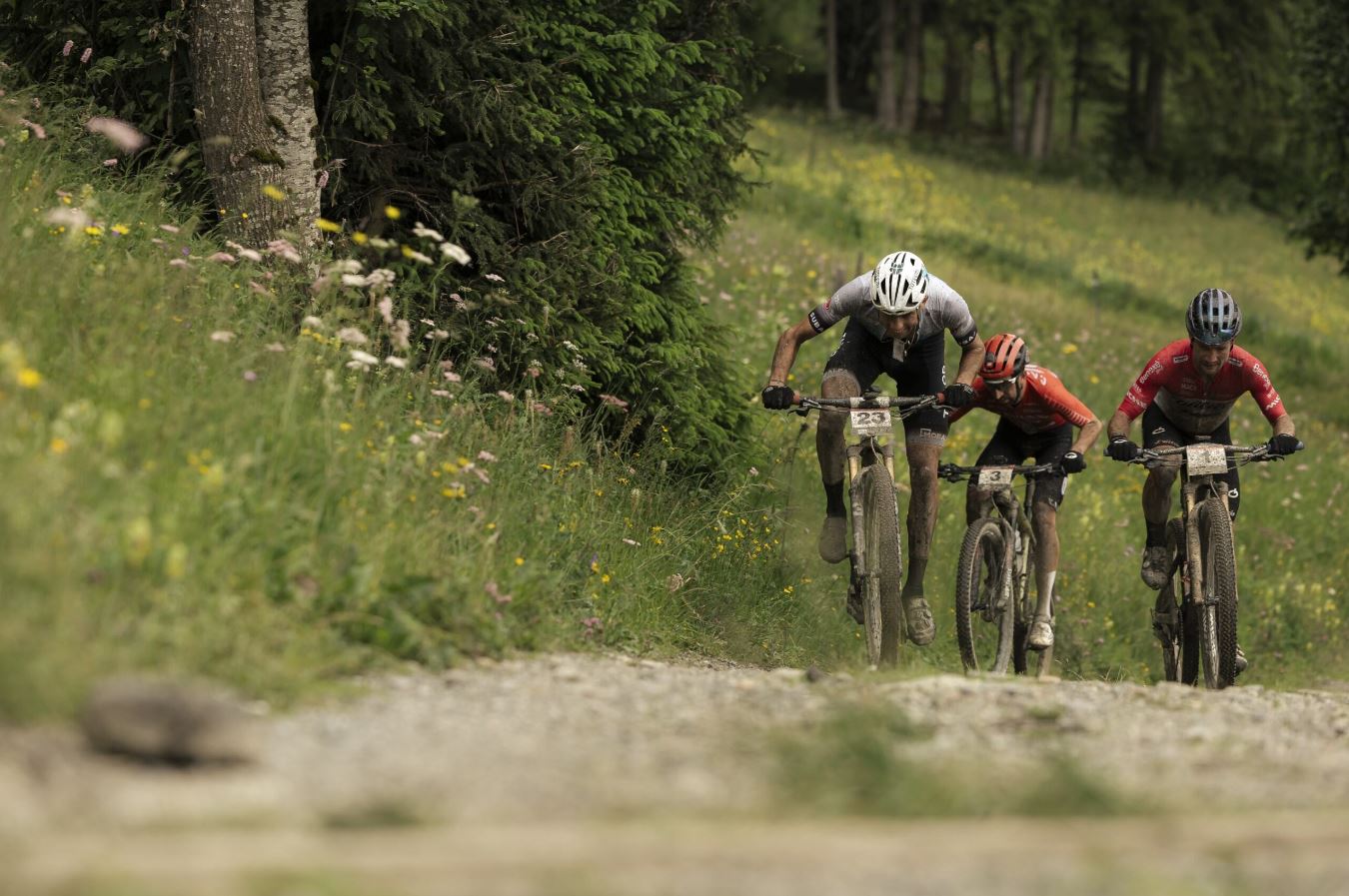 UCI Mountain Bike World Series UCI MOUNTAIN BIKE MARATHON WORLD CUP CONCLUDES IN MT VAN HOEVENBERG LAKE PLACID