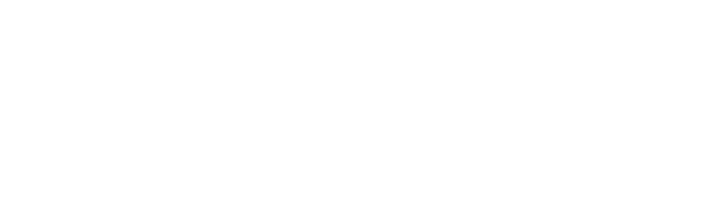 GoPro 