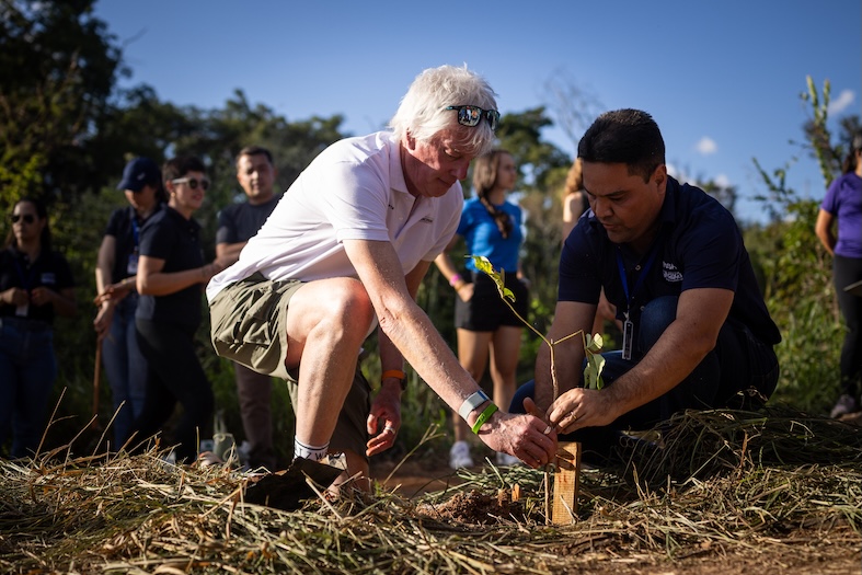 MTBWS Tree Planting in Araxa